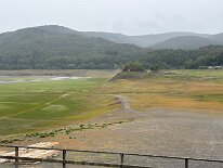 IMG_9208