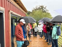 IMG_9210