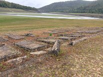 IMG_9223