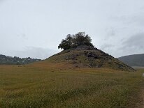 IMG_9225